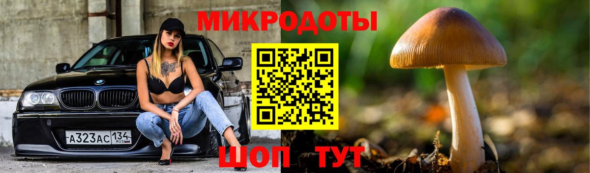 Псилоцибиновые грибы прущие грибы  где купить   Галлюциногенные грибы Psilocybine cubensis  Домодедово  Вход с VPN 